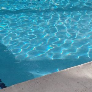 Meet your Posher, Eva